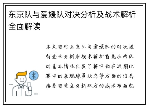 东京队与爱媛队对决分析及战术解析全面解读